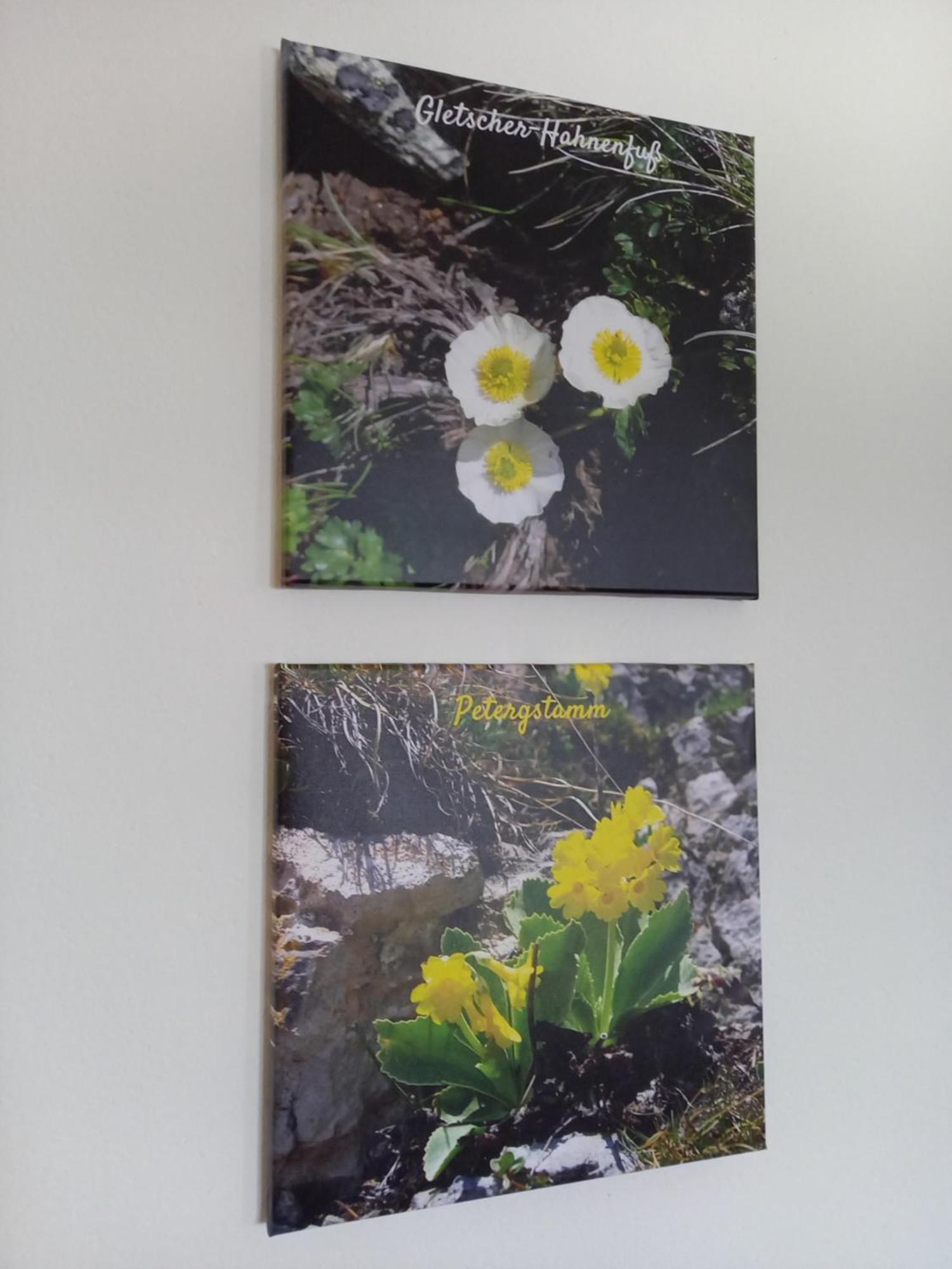 Ferienhaus Schwab Aich  Quarto foto